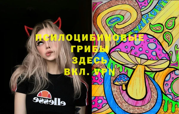 apvp Алексин