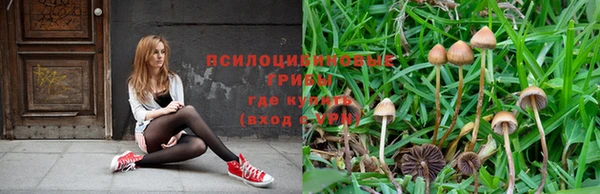 кристаллы Алзамай