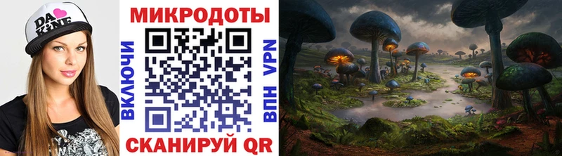 Галлюциногенные грибы Psilocybe  Славск 